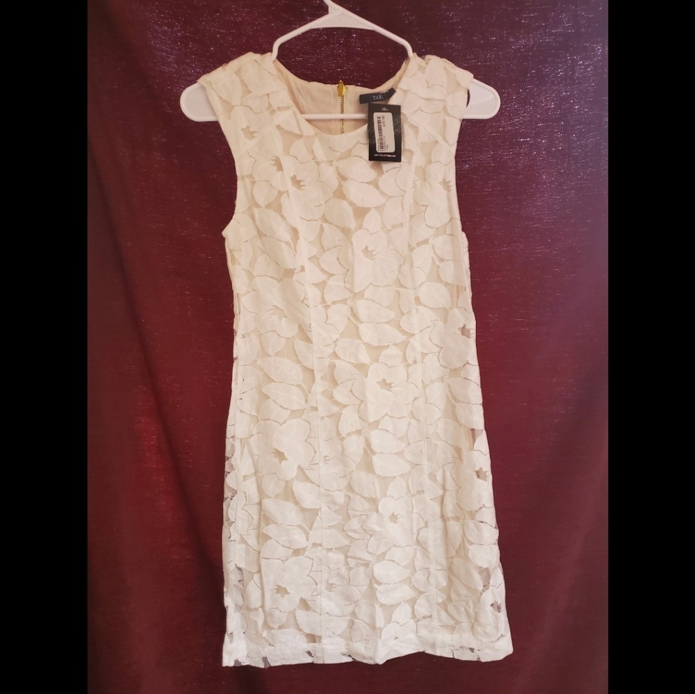 Cream lace Tart Collections dress